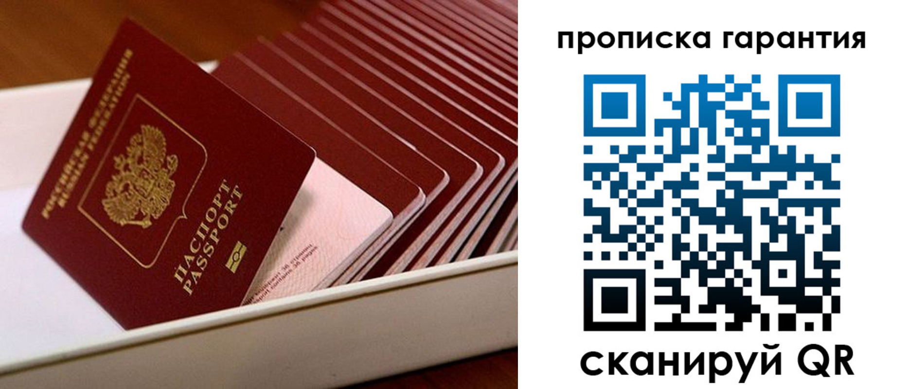 прописка поиск в Белебее